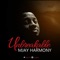 Unbreakable - MJay Harmony lyrics