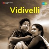 Vidivelli (Original Motion Picture Soundtrack)