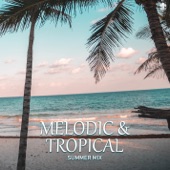 Melodic & Tropical Summer Mix artwork