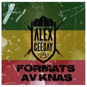 FORMATS AV KNAS (feat. Salle) [Knas Version] artwork