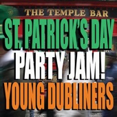 Young Dubliners - The Rocky Road To Dublin