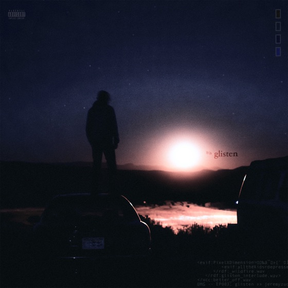 Cover artwork for wildfire