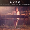 In My Heart (Michael Milov Remix) - Single