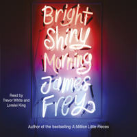 James Frey - Bright Shiny Morning artwork