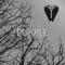 Purple - Pye lyrics