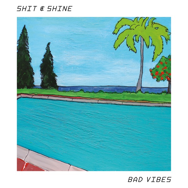 Shit & Shine - Northwest Pool
