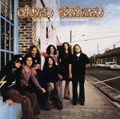 Lynyrd Skynyrd - Mr. Banker