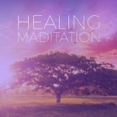 Healing & Meditation - Relaxing BGM That Will Help You Improve Your Sleep, Fatigue and Autonomic Nervous System artwork