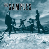 The Samples - Waited Up