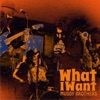 What I Want - Single