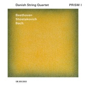 String Quartet No. 12 in E-Flat Major, Op. 127: III. Scherzo. Vivace artwork