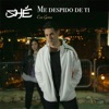 Me despido de ti (feat. Gema) - Single