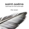 The Swan - Single