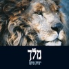 מלך