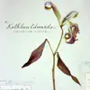 Asking for Flowers album lyrics, reviews, download
