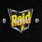 Raid (feat. Dkoolpharaoh & Okaminokami) - 83hades lyrics