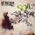 SOiL-Black Betty