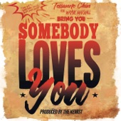Somebody Loves You (feat. Wayne Marshall) artwork