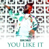 Sean2 Miles - You Like It