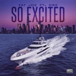 Fat Joe - So Excited (feat. Dre)