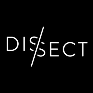 Dissect - A Serialized Music Podcast