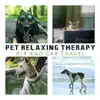 Pet Relaxing Therapy: Air and Car Travel, The Best Calming Music for Dogs & Cat Ears, Sleep Aid, Pet Relaxation album lyrics, reviews, download