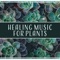 Liquid Relaxation - soothing music academy lyrics