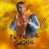 Tu Tá na Gaiola (Radio Edit) - Single album lyrics, reviews, download