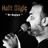 El Qajiye (2017) artwork