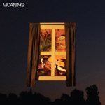 Moaning - Don't Go