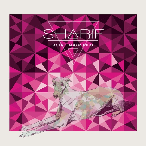 Cover artwork for La Primera Persona del Plural