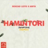 Hamintori (Dynatonic Remix) [feat. Anita] - Single