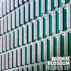 Figures - EP by Wookie, Blossom & M2R1 album reviews, ratings, credits