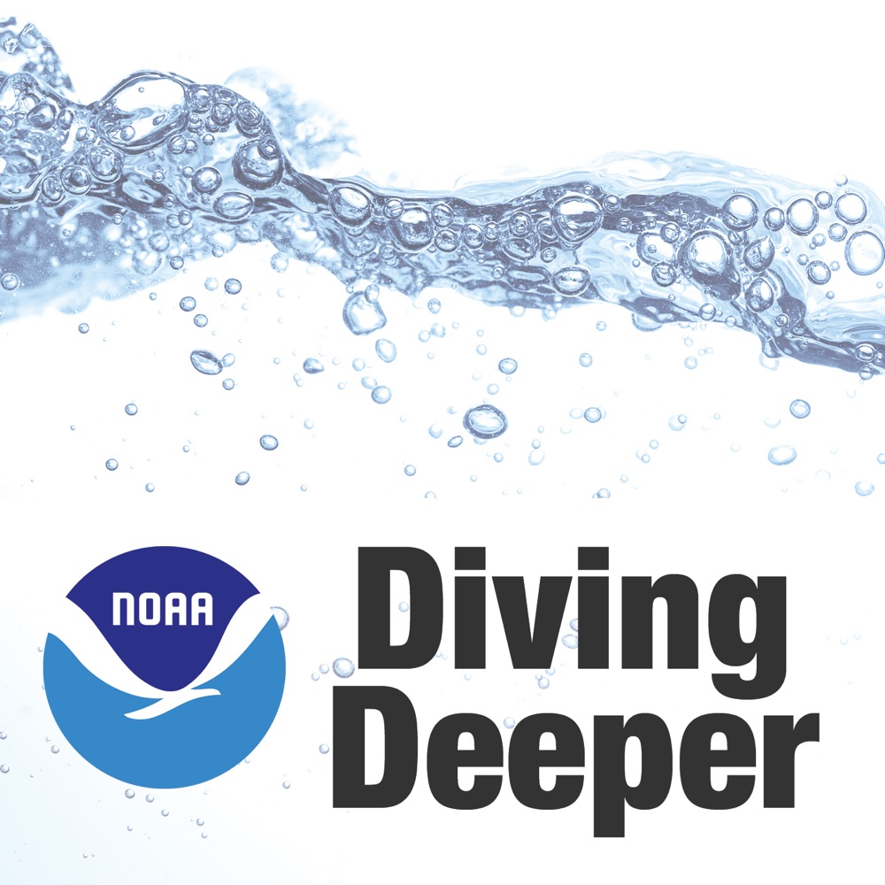 Ocean service. Dive Podcasts. Кружка Divers do it Deeper.