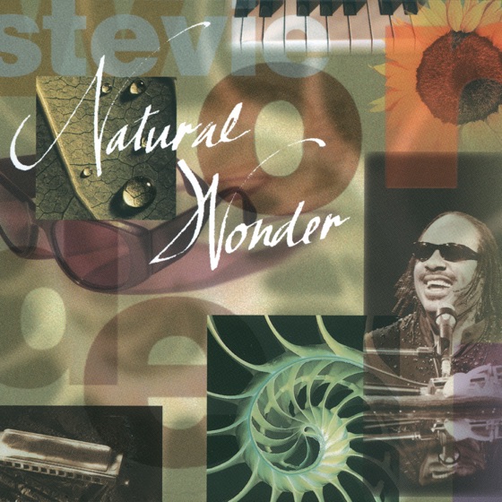 Cover artwork for Stevie Ray Blues