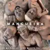 Stream & download Mangueira - Single