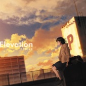 Elevation artwork