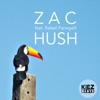 Hush (feat. Rafael Panegalli) - Single