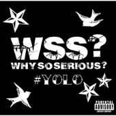 WHY SO SERIOUS? artwork