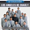 Mi Colección: Los Ángeles de Charly