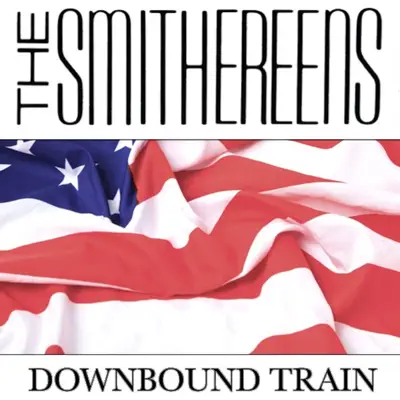 Downbound Train - Single - The Smithereens