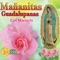 Oh Madre Querida - Raul De La Torre El Aguila Real lyrics