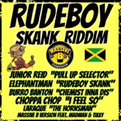 Rudeboy Skank artwork