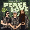 Peace & Love - Single