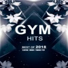 GYM Hits Best Of 2018, 2018