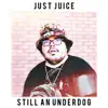 Still an Underdog - Single album lyrics, reviews, download