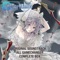 Beyond The Destiny(Full ver.) (feat. 分島花音) - Single ジャケット写真
