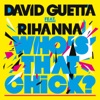 David Guetta feat Rihanna - Who's that Chick?