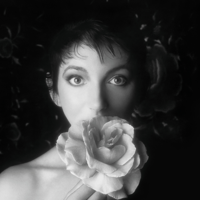 Kate Bush - Remastered, Pt. II artwork