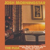 Josh Morningstar - Must Be the Whiskey